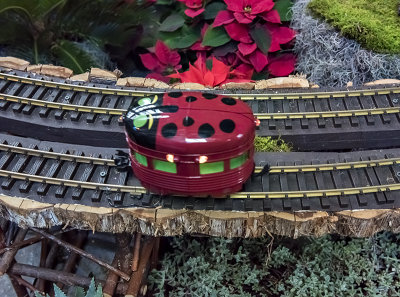 The ladybug train