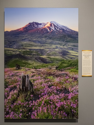 'Mount St. Helens National Volcanic Monument,' by Adrian Klein