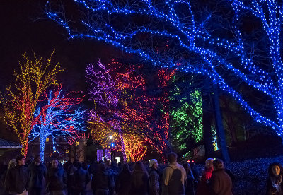 ZooLights at the National Zoo