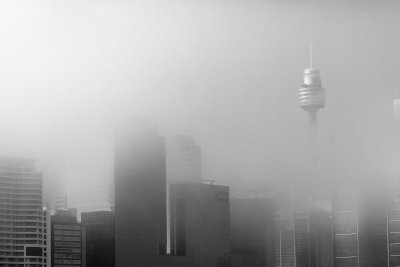 Sydney fog: 12-May-2013