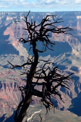 Grand Canyon: Sept 2015