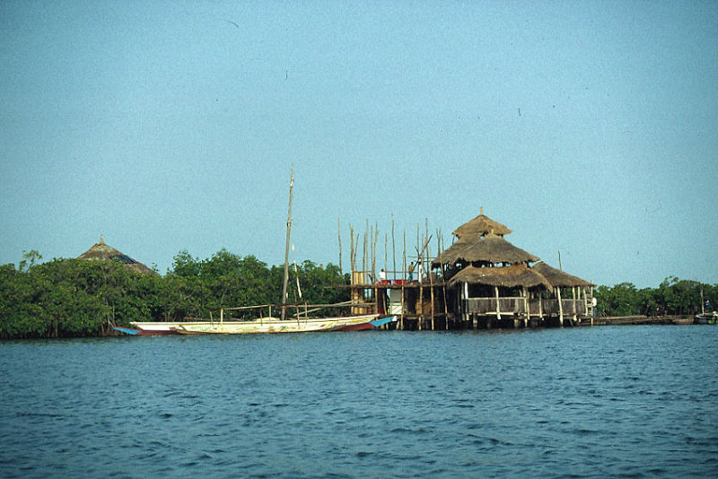 Birding tower.jpg