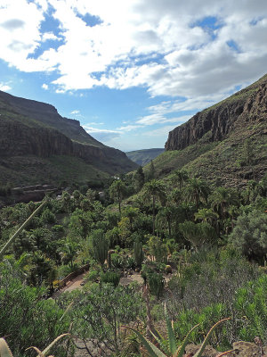Palmitovalley.jpg