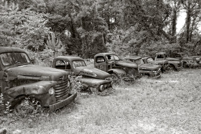 Truck Graveyard South of Tallahassee