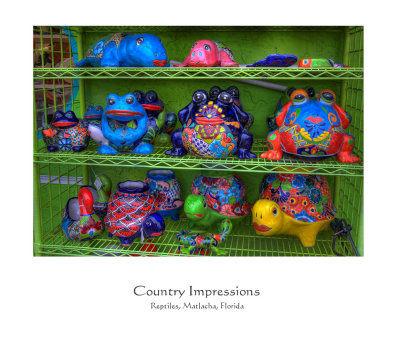 Reptiles, Matlacha, FL