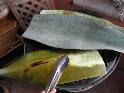 Roasting the Maguey (Agave) leaves.