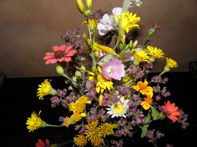 Wildflowers picked in the countryside  surrounding SMA