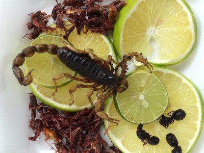 Scorpion salad