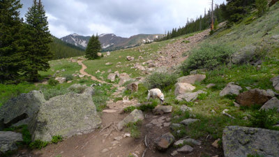 Herman Lake hike