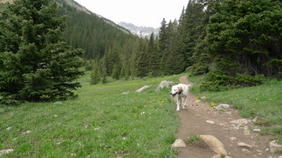 Herman Lake hike