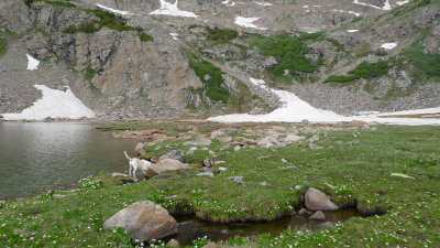 Herman Lake