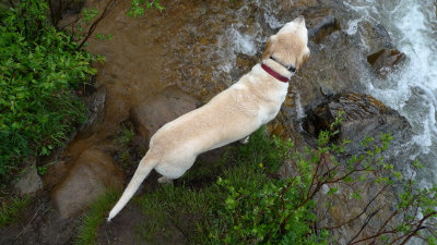 Herman Lake hike