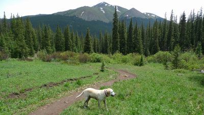 Herman Lake hike