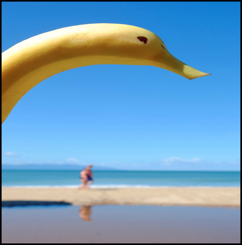 banana1a_edited-1.jpg