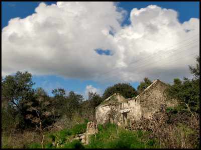 abandoned house copy.jpg