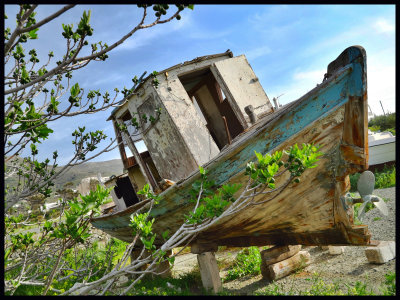 lost boat and fig tree.jpg