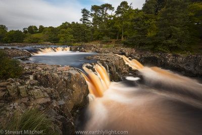 Low Force_EL16494.jpg