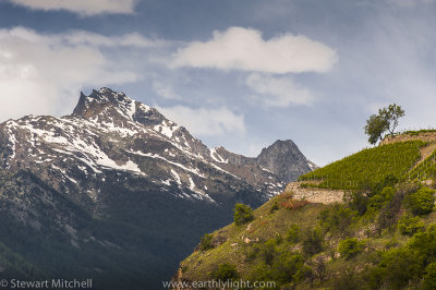 Aosta_SM36444.jpg