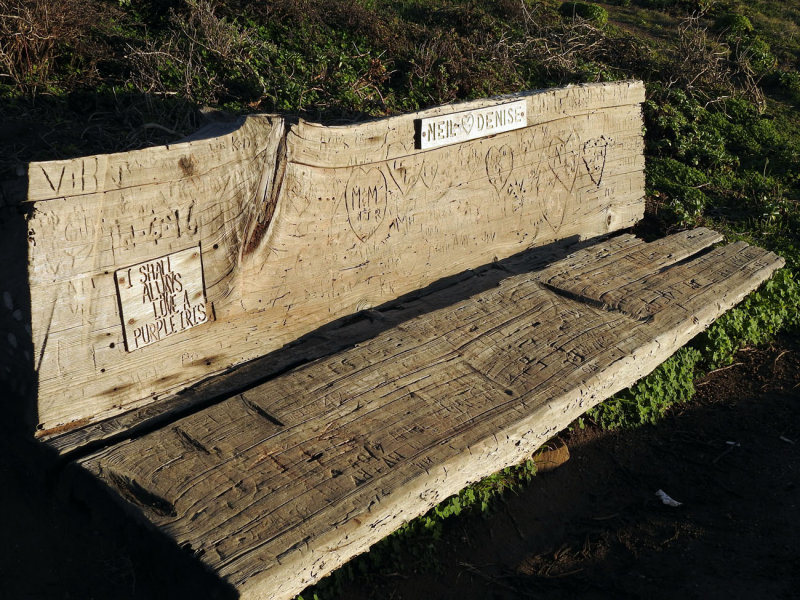The whole bench