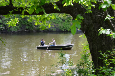 Boating, 2013