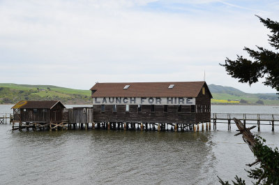 Tomales Bay