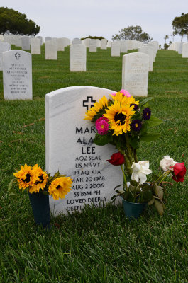 Marc Alan Lee - An American Hero