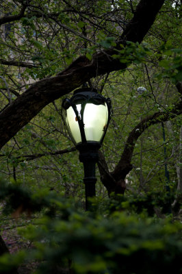 Park lamp