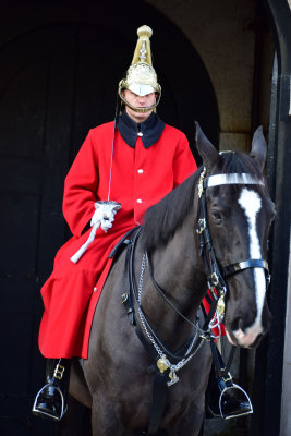 Horse Guard