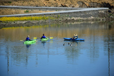 Kayaking on the Napa River