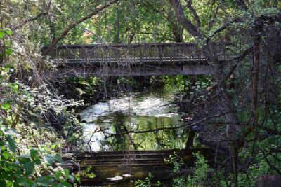Big Chico Creek