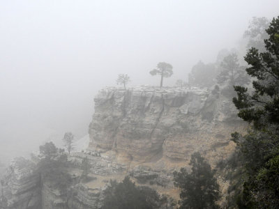 Snow flurries at the Grand Canyon