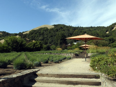 Matanzas Creek Winery