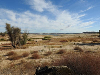 Folsom Lake, Sept. 2015