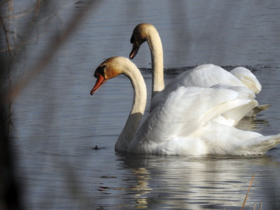 Mather Lake Park