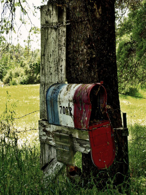 Along a country road, CA