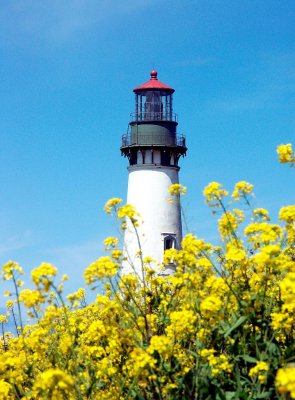 Yaquina Head lighthouse, OR