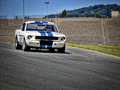 American automotive royalty - Shelby GT350