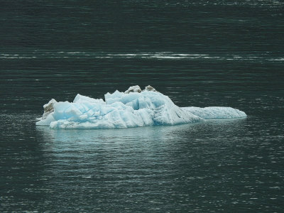 Ice floe from Sawyer Glacier