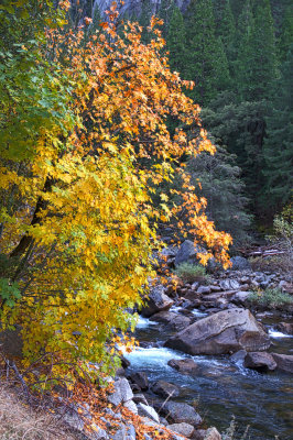 Merced River