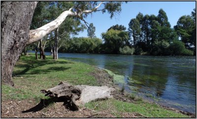 Goulburn River