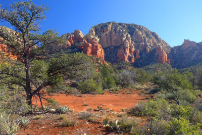 Boynton Canyon area