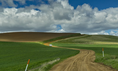 _DSC6151-Edit.jpg