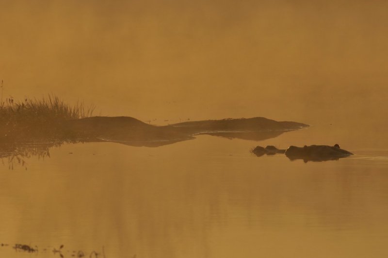 Transport Dam