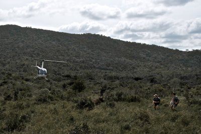 Flying under the radar