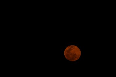 Moon safari
