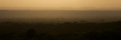 Mist-ic