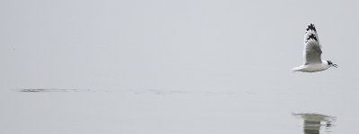IMG_6846.JPG