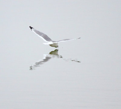 IMG_6885.JPG