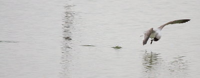 IMG_6923.JPG