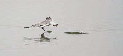 IMG_6934.JPG